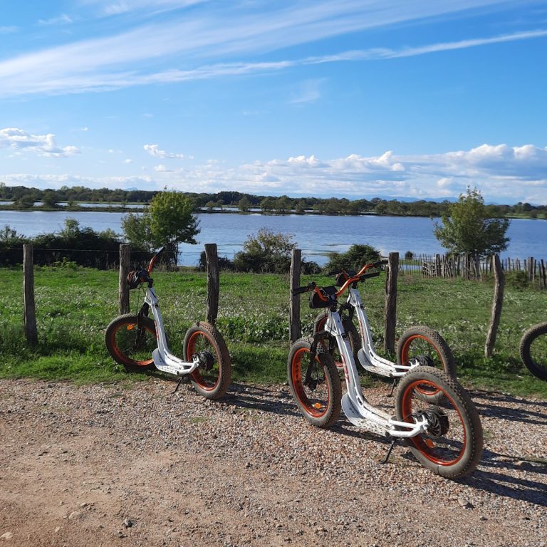 Balade La Petite Camargue