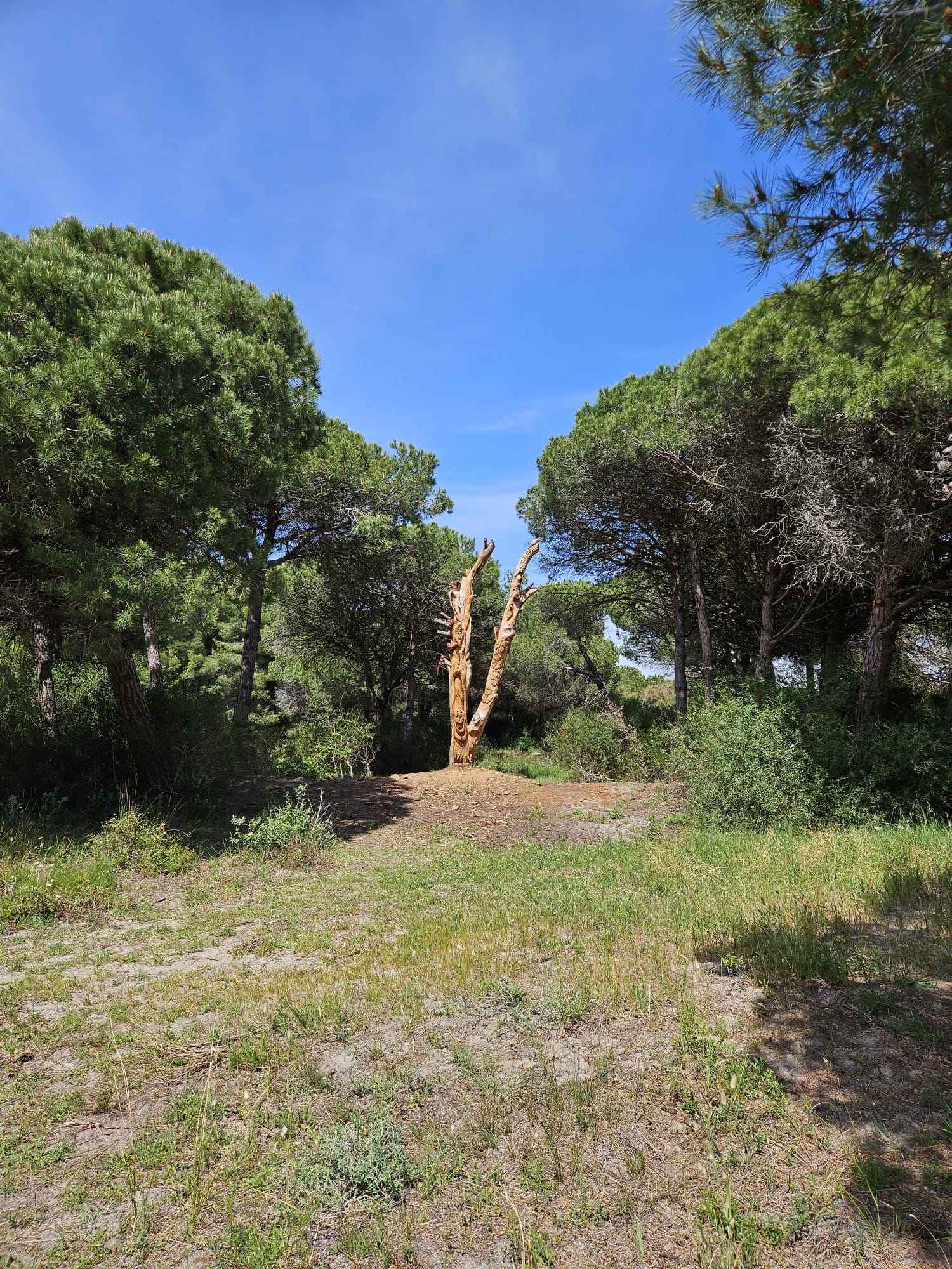 Balade Le Ponant / Boucanet